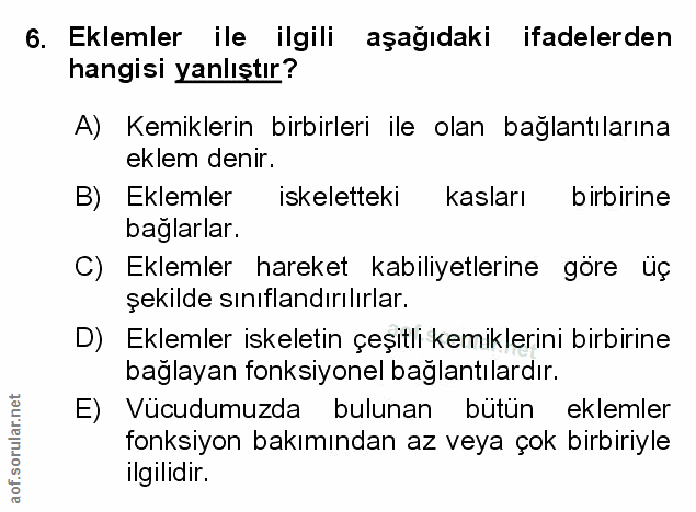Soru 6