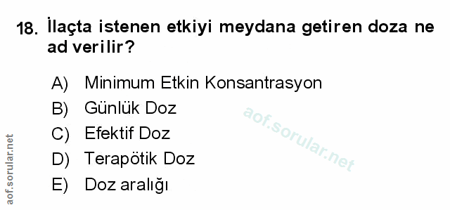 Soru 18