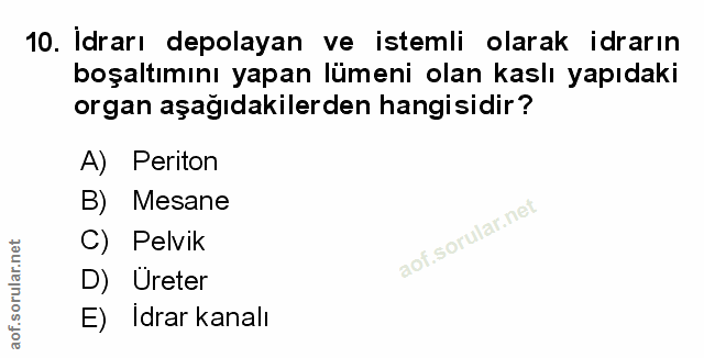 Soru 10