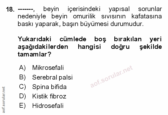 Soru 18