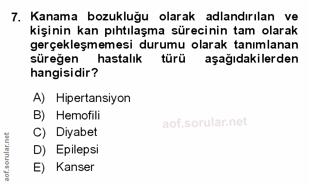 Soru 7