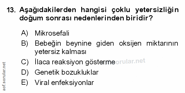 Soru 13