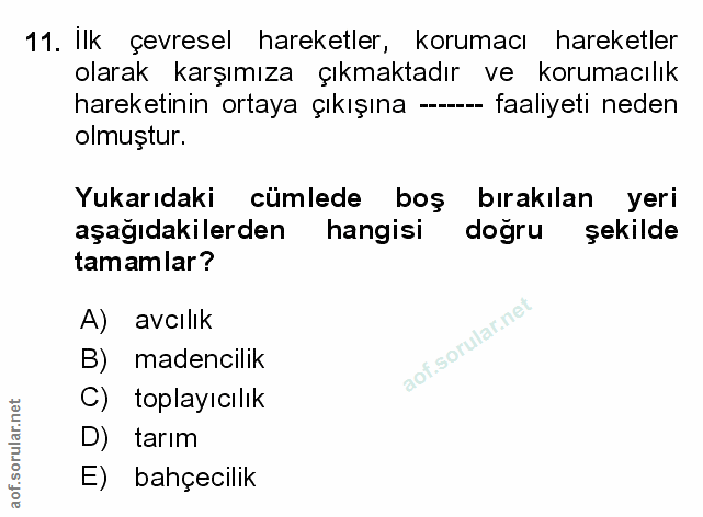 Soru 11