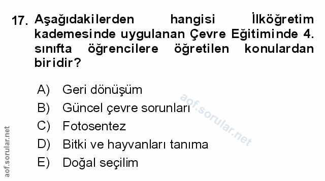 Soru 17