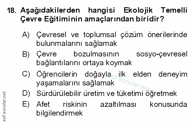 Soru 18