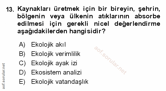 Soru 13