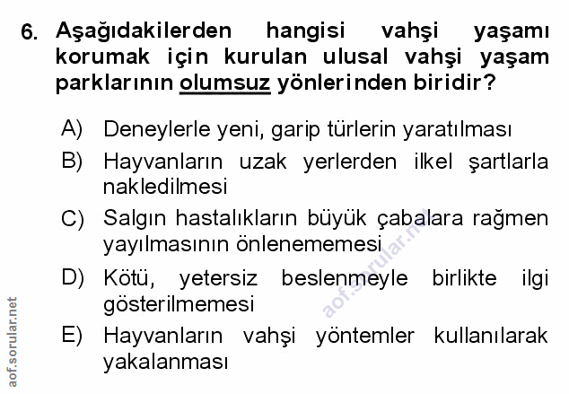 Soru 6