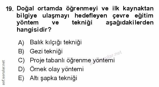 Soru 19