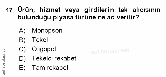 Soru 17