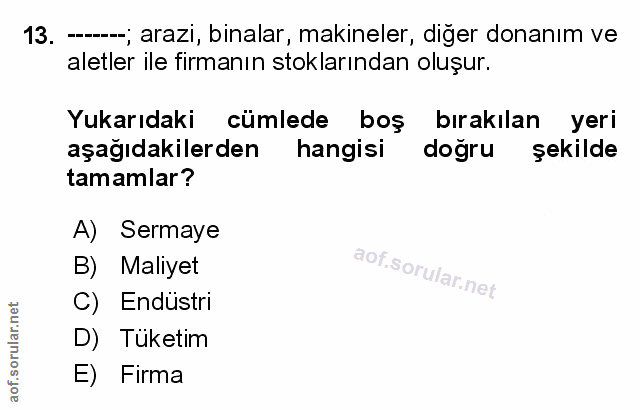Soru 13