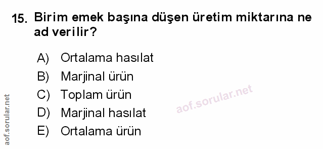 Soru 15