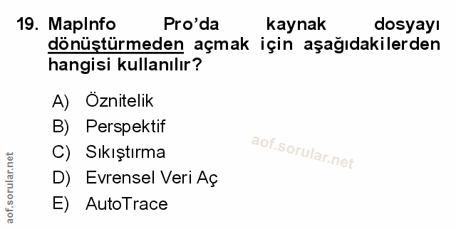 Soru 19