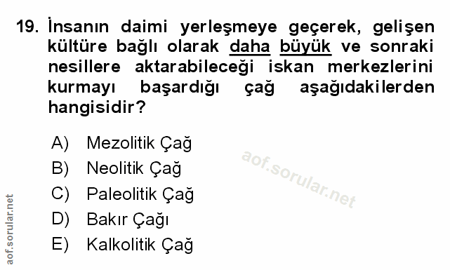 Soru 19
