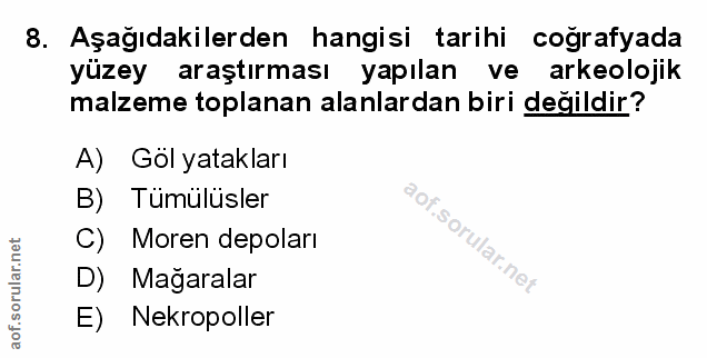 Soru 8