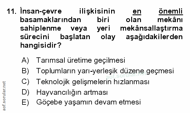 Soru 11