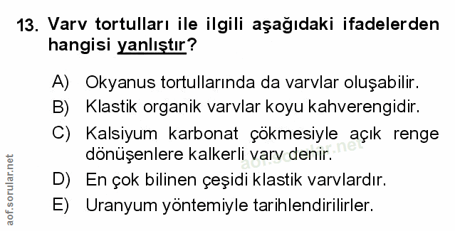 Soru 13