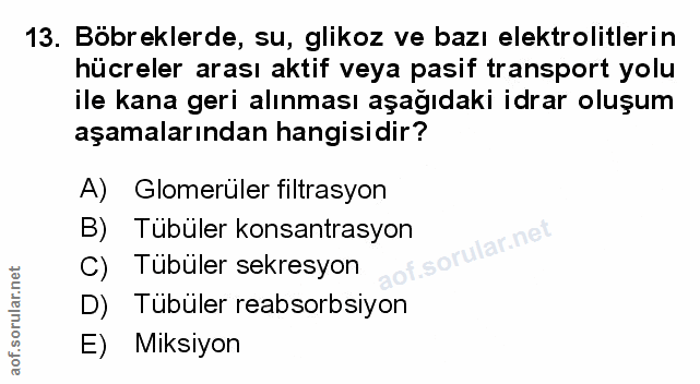 Soru 13