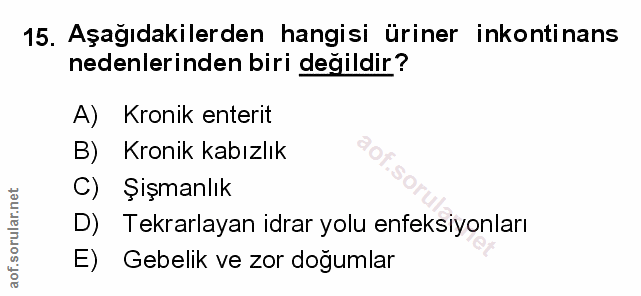 Soru 15
