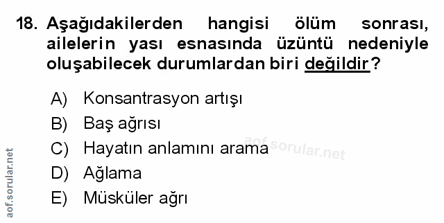 Soru 18