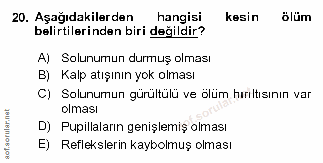 Soru 20