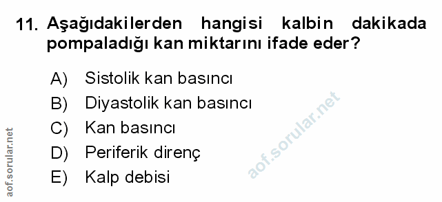 Soru 11