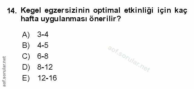 Soru 14
