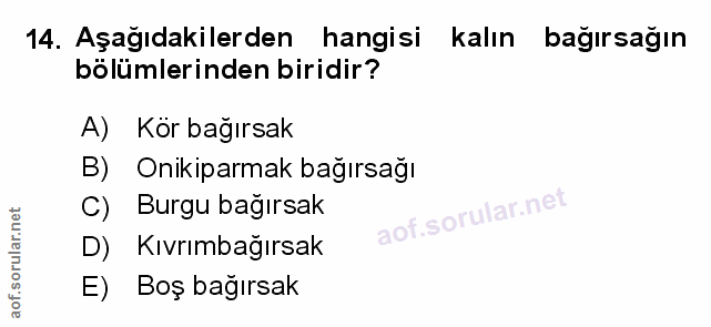 Soru 14