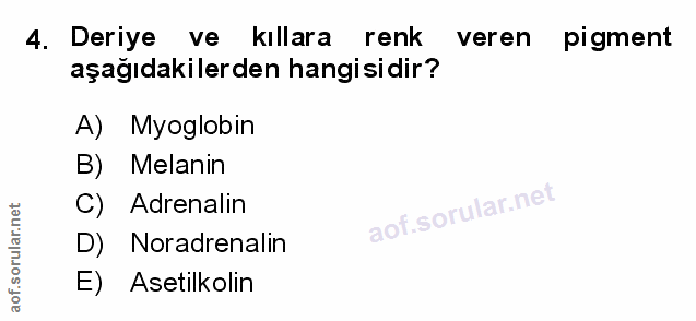 Soru 4
