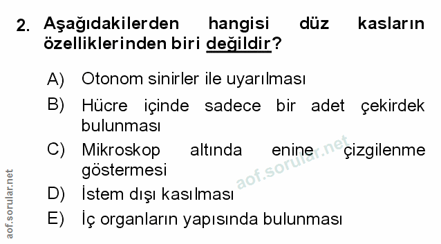Soru 2