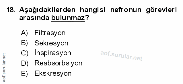Soru 18