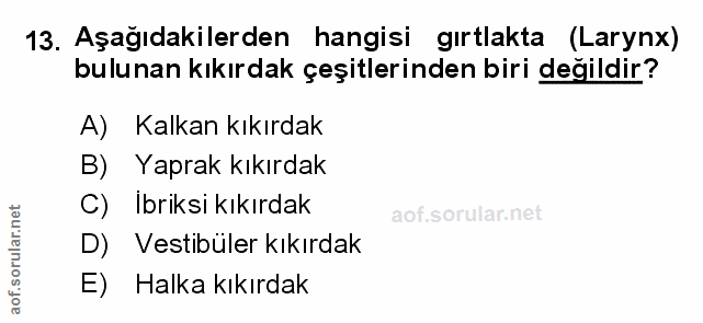 Soru 13