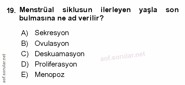 Soru 19