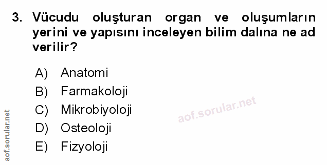 Soru 3