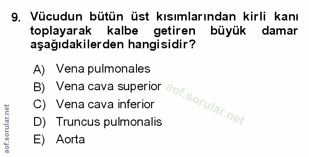 Soru 9