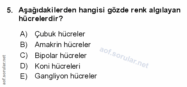 Soru 5