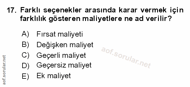 Soru 17