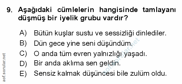 Soru 9