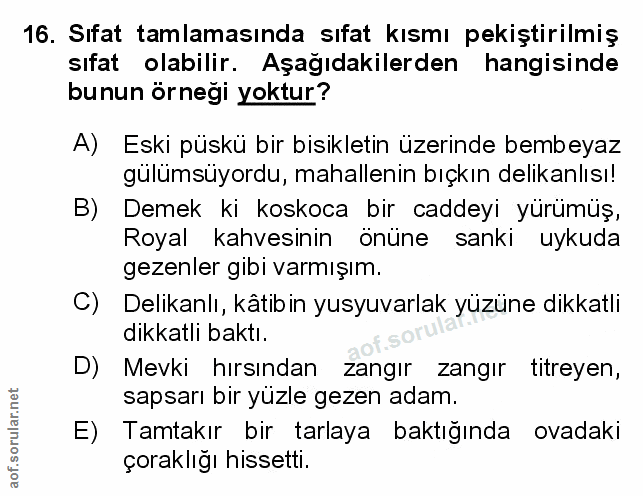 Soru 16