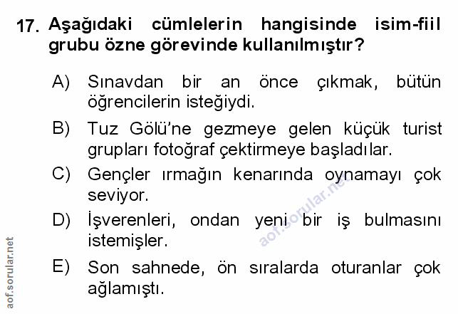 Soru 17