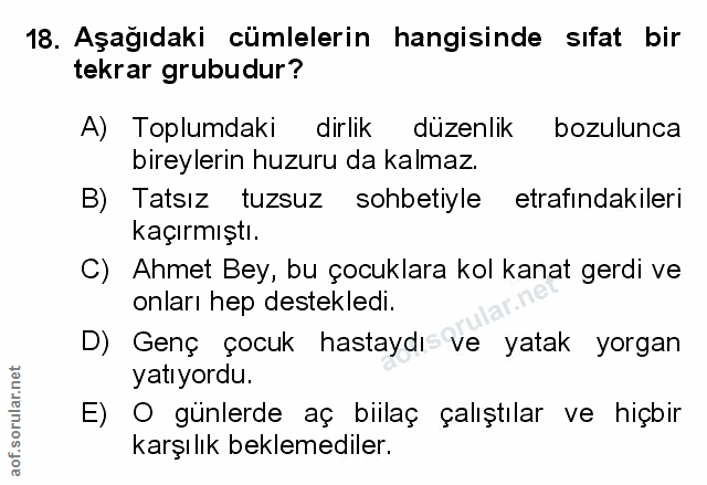 Soru 18