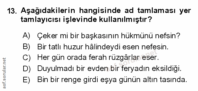 Soru 13