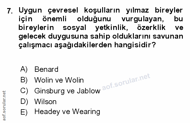 Soru 7