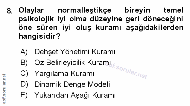 Soru 8