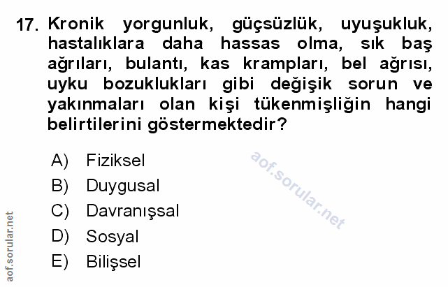 Soru 17