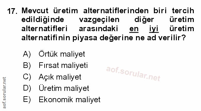 Soru 17