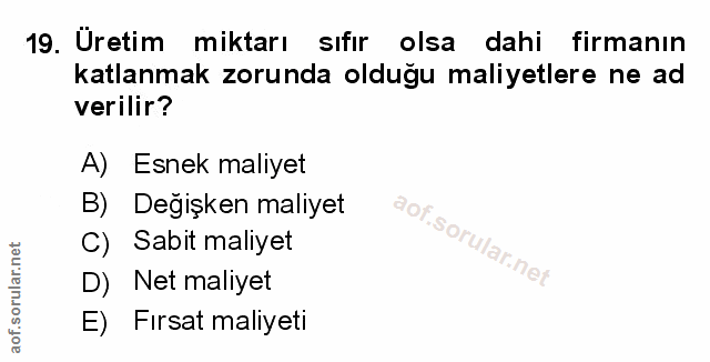Soru 19