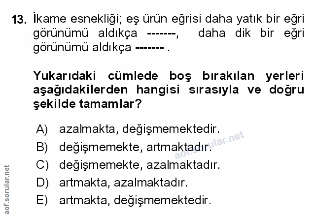 Soru 13