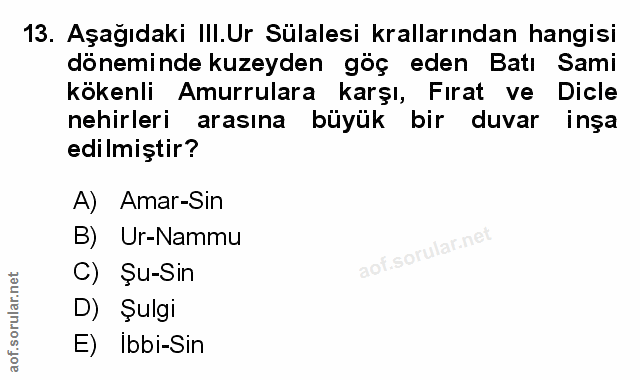 Soru 13