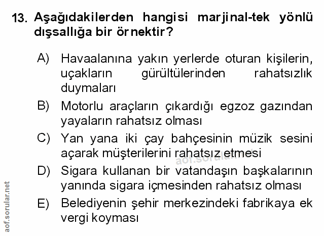 Soru 13