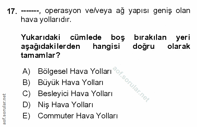 Soru 17